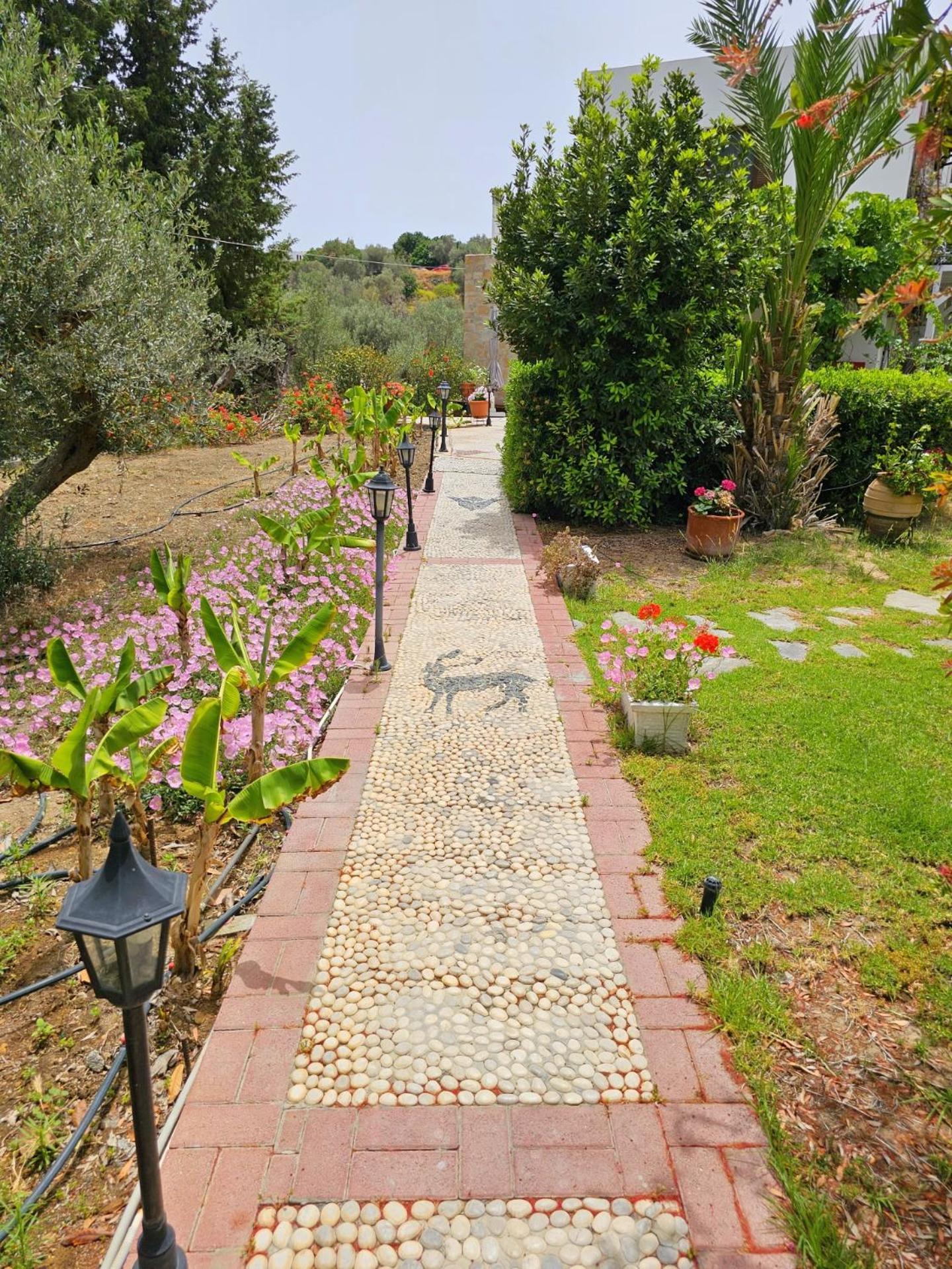 Galini View Apartments Lindos Dış mekan fotoğraf